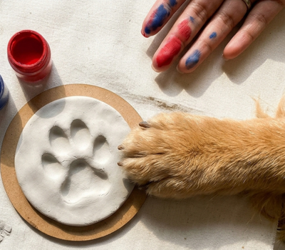Pet Paw Print Keepsakes & Memorial Gifts - DIY kits from Kitsters