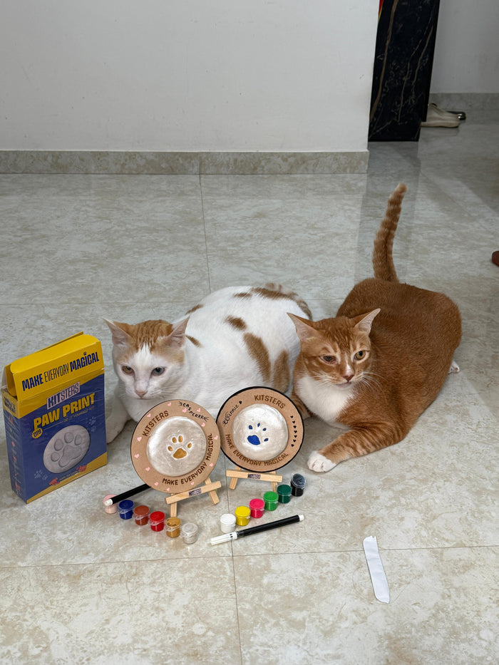 DIY Pet Paw Print Keepsake Kit β made by a Kitsters maker