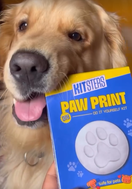 DIY Pet Paw Print Keepsake Kit β made by a Kitsters maker