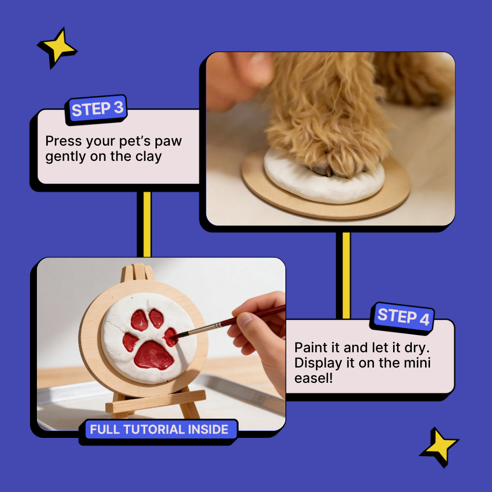DIY Pet Paw Print Keepsake Kit