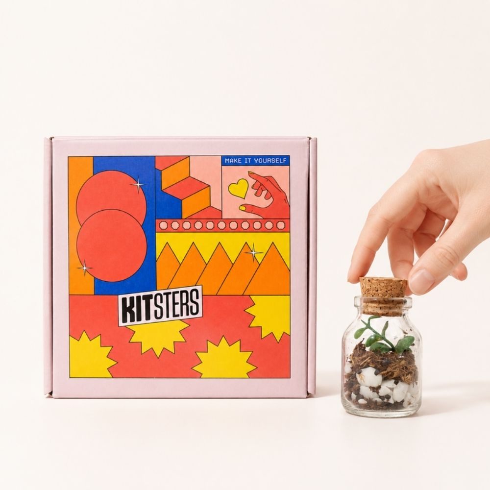 DIY Mini Terrarium Kit