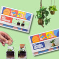 COMBO : DIY Mini Terrarium Kit & DIY Japanese Kokedama Kit