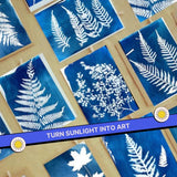 DIY Cyanotype Sun Print Kit