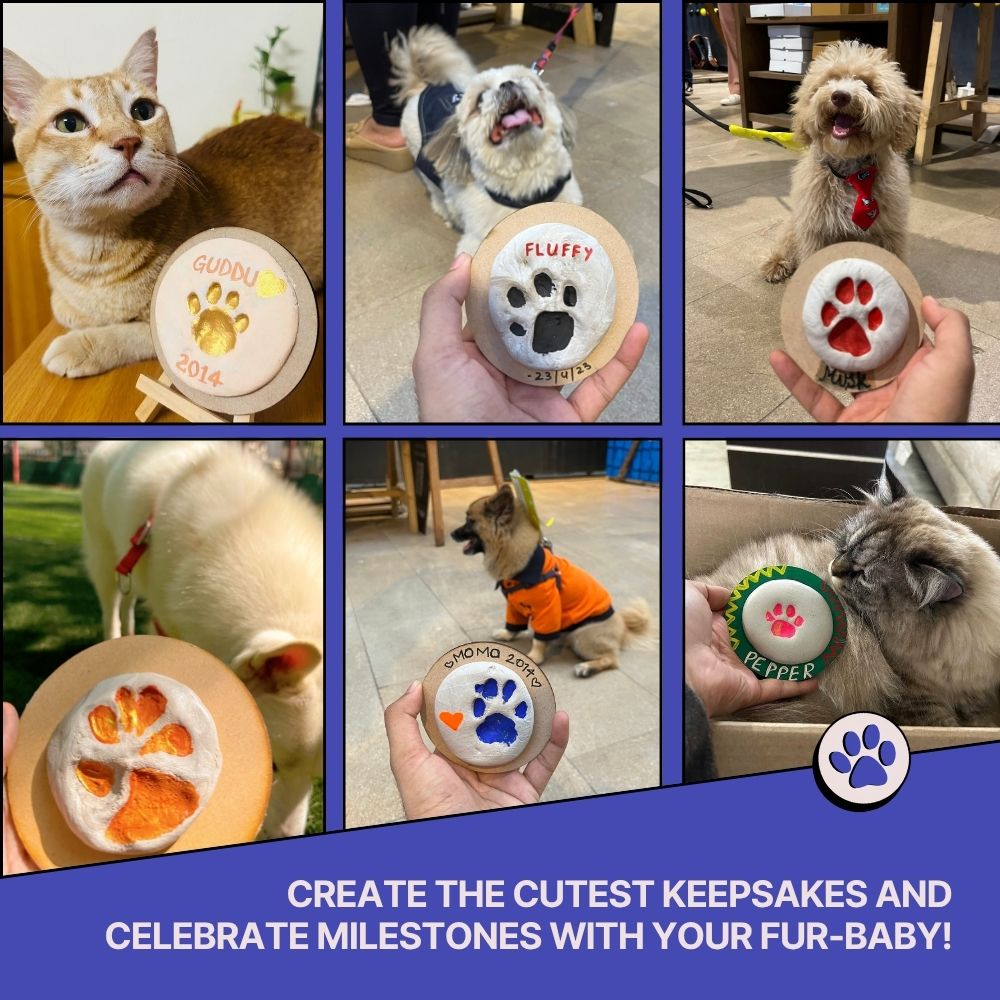 DIY Pet Paw Print Keepsake Kit