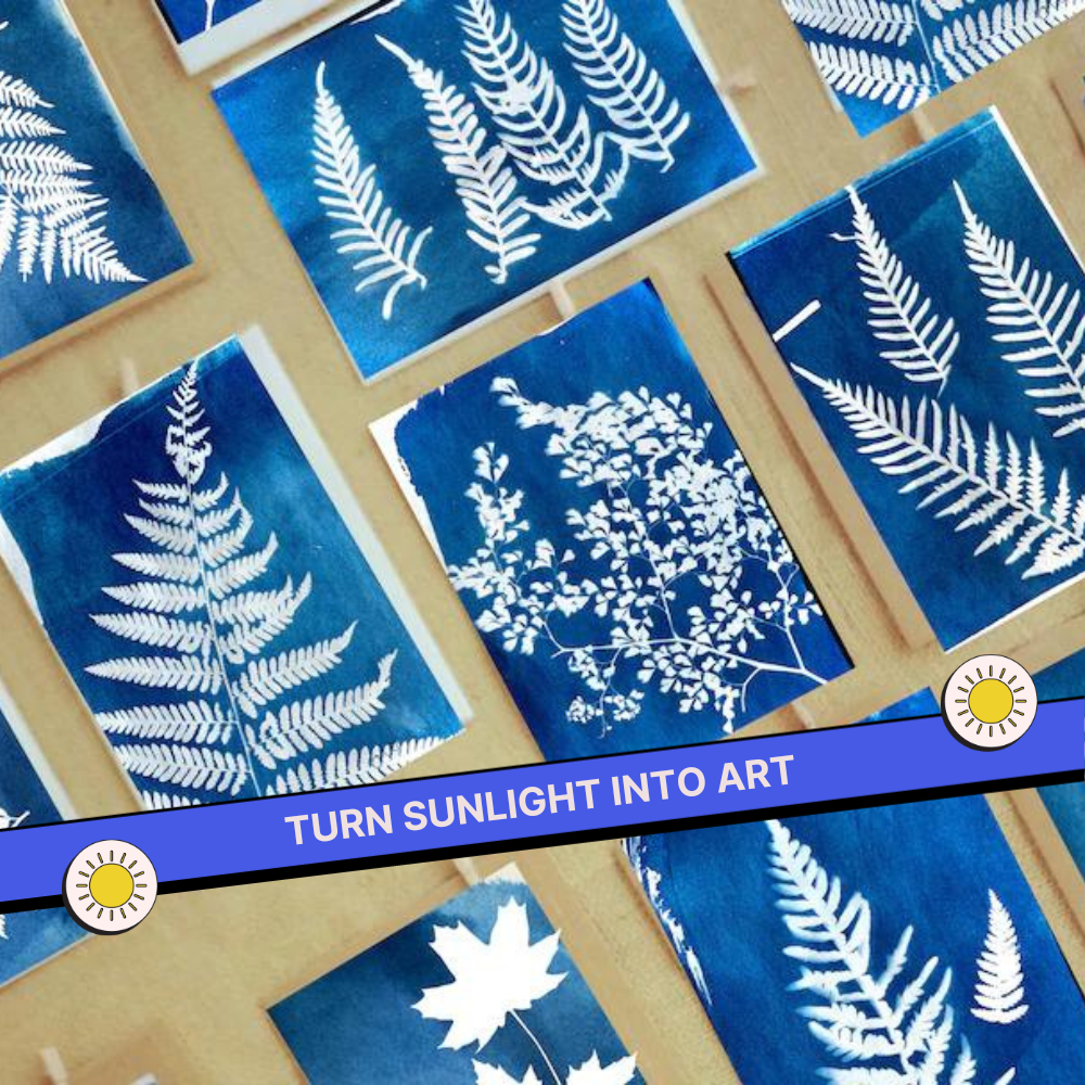 DIY Cyanotype Sun Print Kit