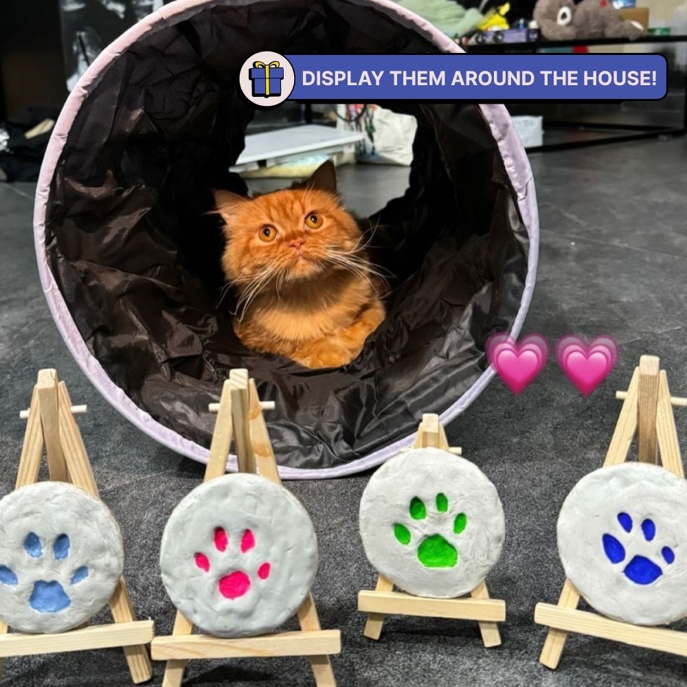 DIY Pet Paw Print Keepsake Kit