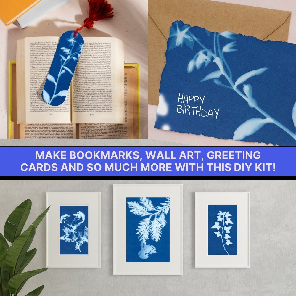 DIY Cyanotype Sun Print Kit