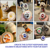 DIY Pet Paw Print Keepsake Kit