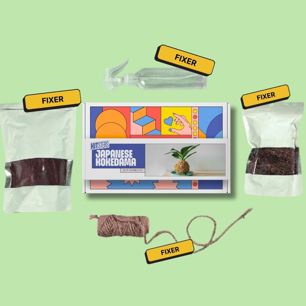 COMBO : DIY Mini Terrarium Kit & DIY Japanese Kokedama Kit