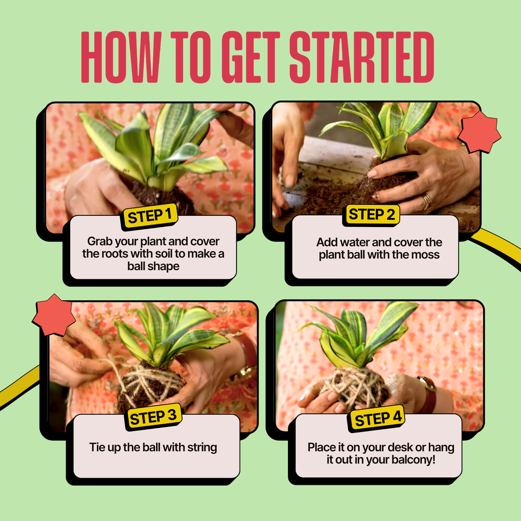 COMBO : DIY Mini Terrarium Kit & DIY Japanese Kokedama Kit