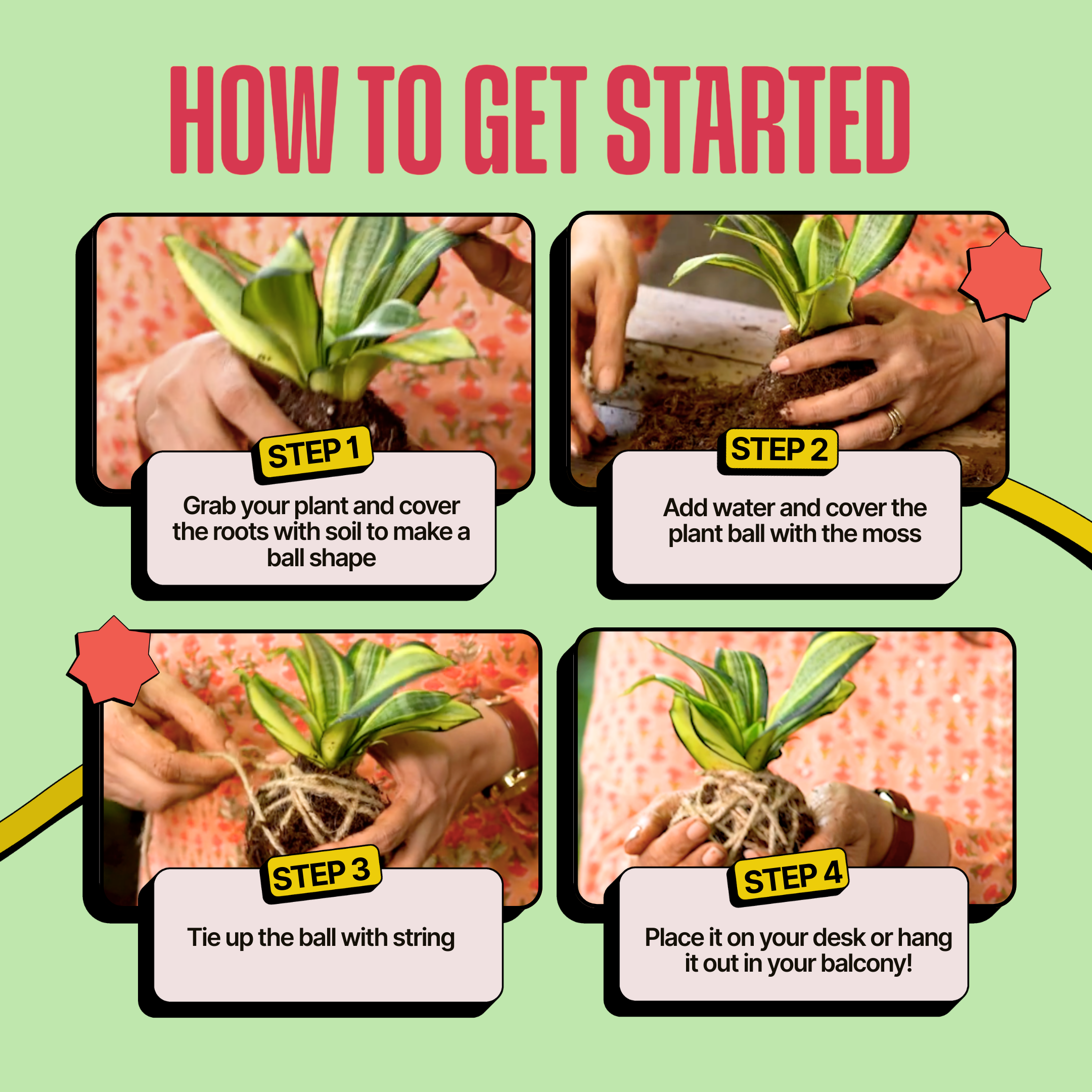 COMBO : DIY Mini Terrarium Kit & DIY Japanese Kokedama Kit