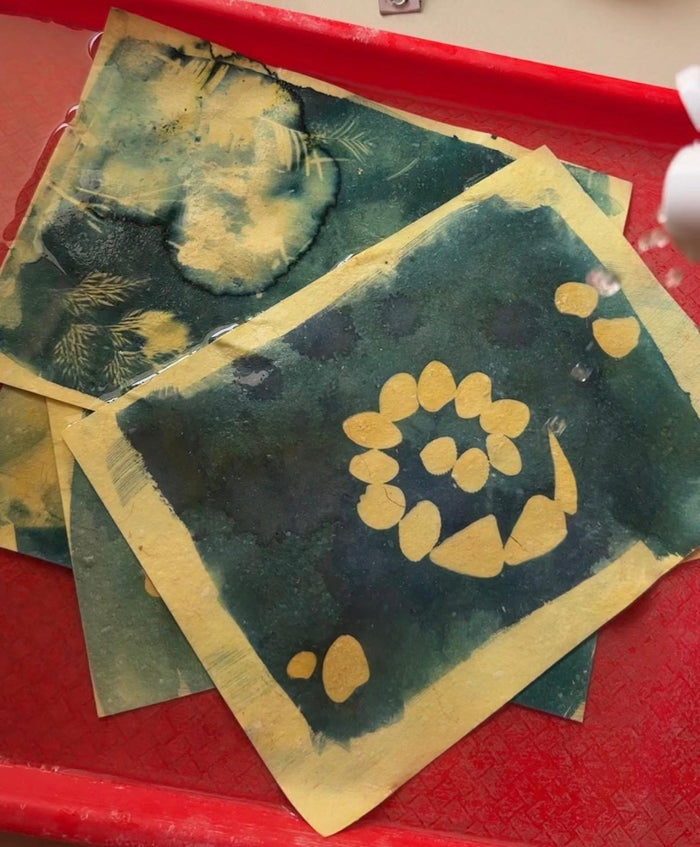 DIY Cyanotype Sun Print Kit — made by a Kitsters maker