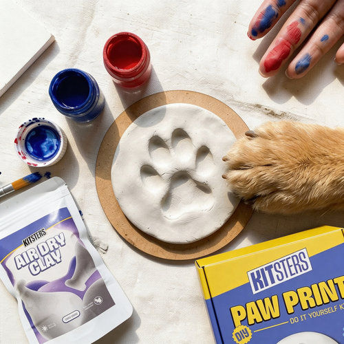 DIY Pet Paw Print Keepsake Kit