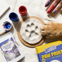 DIY Pet Paw Print Keepsake Kit