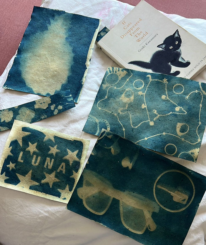 DIY Cyanotype Sun Print Kit — made by a Kitsters maker
