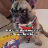 DIY Pet Paw Print Keepsake Kit