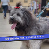 DIY Pet Paw Print Keepsake Kit