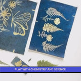 DIY Cyanotype Sun Print Kit