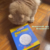 DIY Pet Paw Print Keepsake Kit